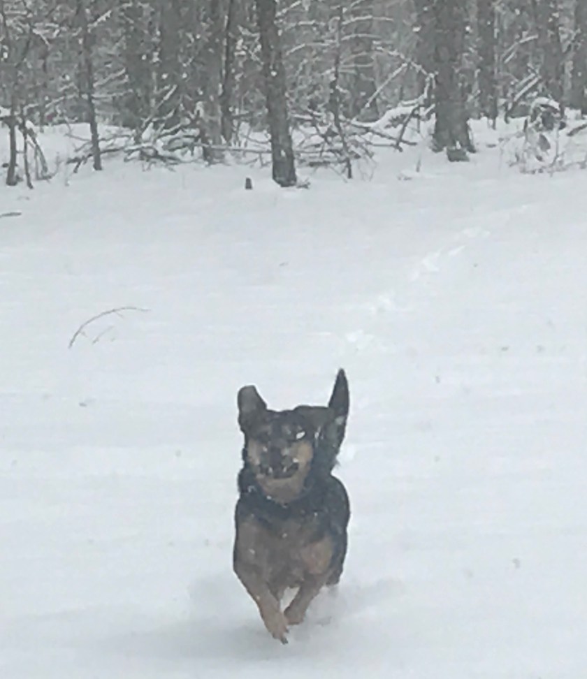 FullSizeRender (42).jpg