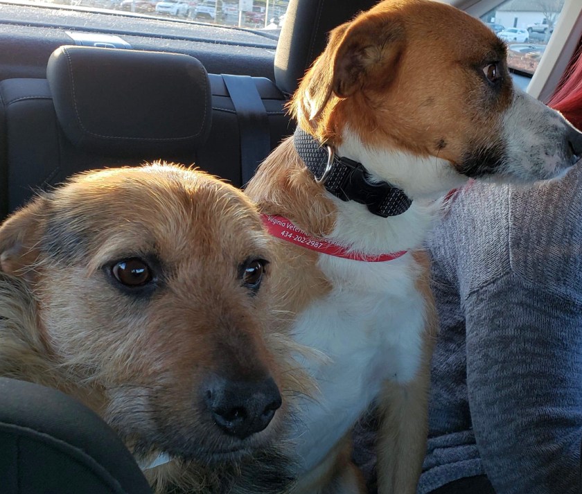 FullSizeRender (60).jpg