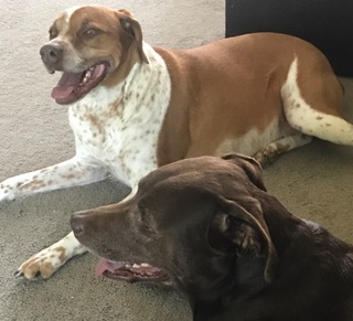 FullSizeRender (104)