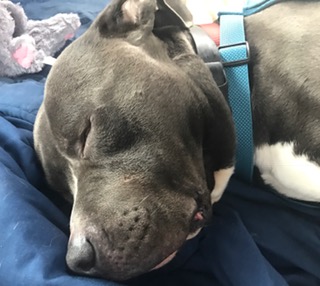 FullSizeRender (111)