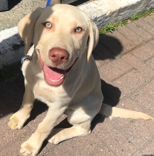 FullSizeRender (131)