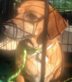 FullSizeRender (135)