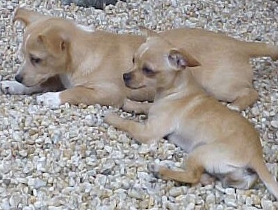 FullSizeRender (138)