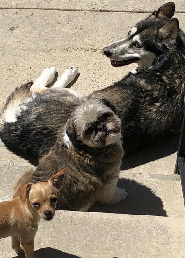 FullSizeRender (157)