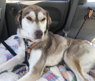 FullSizeRender (167)