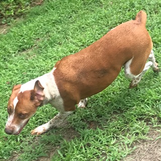 FullSizeRender (179)