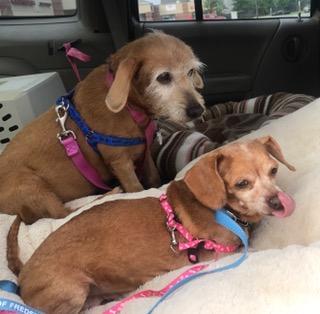 FullSizeRender (182)