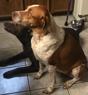 FullSizeRender (183)