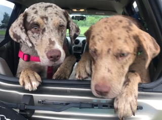 FullSizeRender (184)