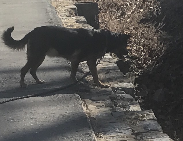 FullSizeRender (190)