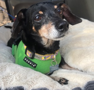 FullSizeRender (196)