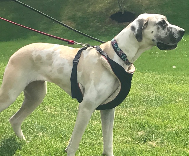 FullSizeRender (101)