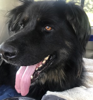 FullSizeRender (198)