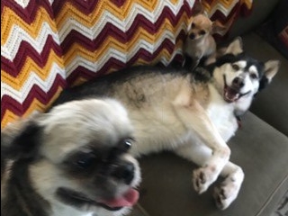 FullSizeRender (209)