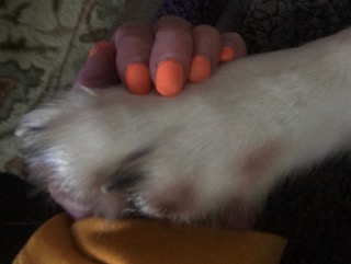 FullSizeRender (217)