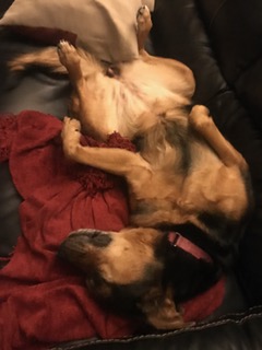 FullSizeRender (228)