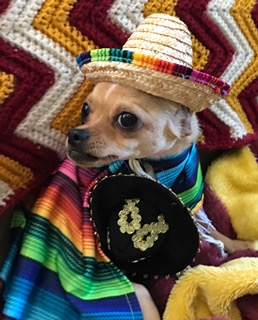 FullSizeRender (229)