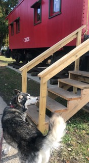 FullSizeRender (231)