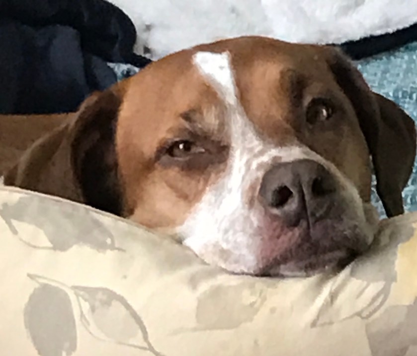 FullSizeRender (251)