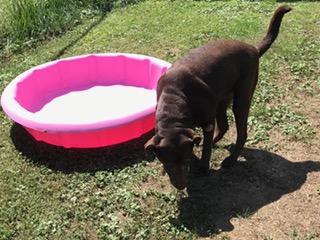 FullSizeRender (253)